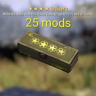 25 Bruisers Mods