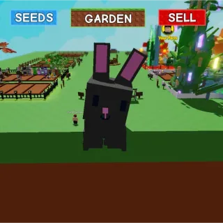 Mega Semi Huge Black Bunny 4.63 KG Age 1