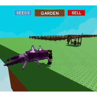 8x 2KG Amethyst Beetle