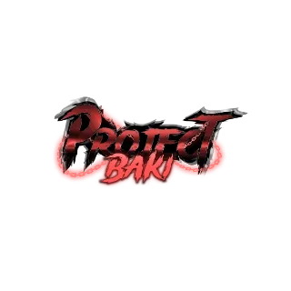 LOGAN STYLE - PROJECT BAKI 800R