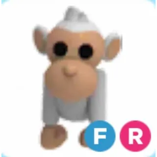 Albino Monkey