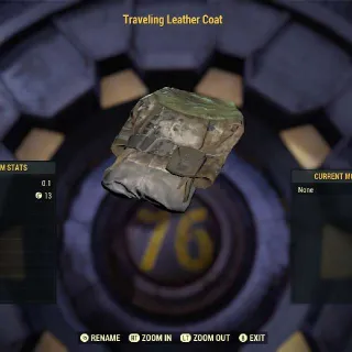 Traveling Leather Coat