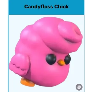 4x Candyfloss Chick
