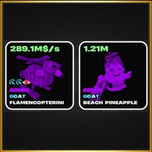 ADMIN PACK