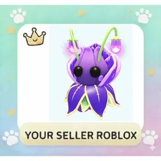 Violet Friend