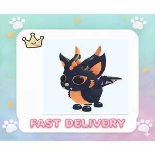 Stray Cat Dragon