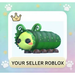 Pinkypillar x16