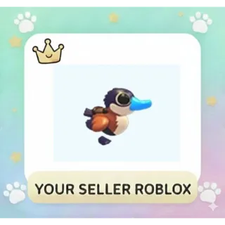 Ruddy Duck Waddler