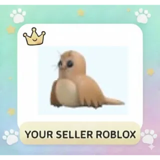 Galapagos Sea Lion x4