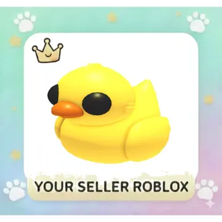 Rubber Ducky x16