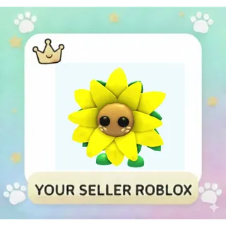 Sunflower Friend
