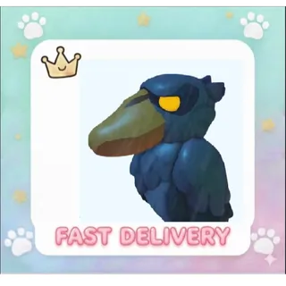 Shoebill