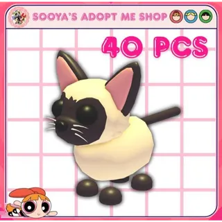 Adopt Me! 40x Siamese Cat
