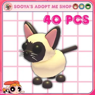 Adopt Me! 40x Siamese Cat