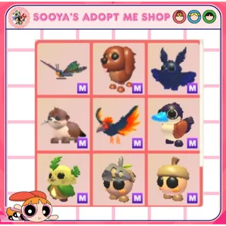Adopt Me! Mega Summer Camp Festival Bundle