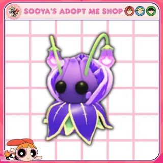 Violet Friend
