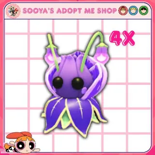 4x Violet Friend