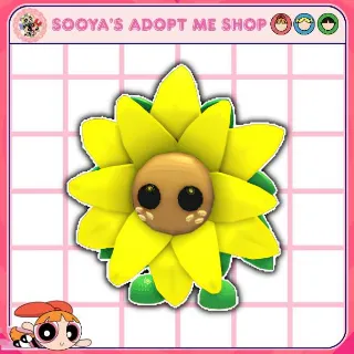 Sunflower Friend