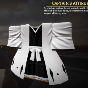 AOTR | Captin Attire