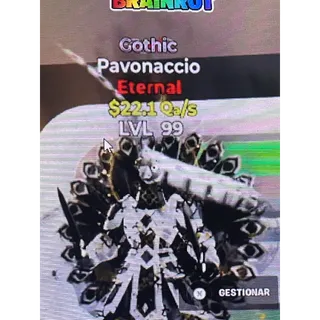 Pavonaccio Gothic