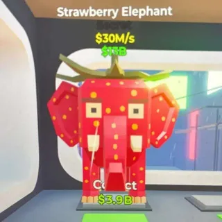 Strawberry Elephant
