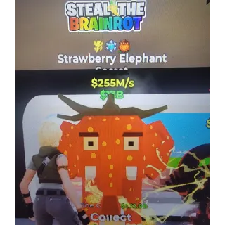 Strawberry Elephant 255m/s
