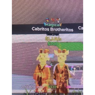 Cabritos Brotheritos 1.1B/s