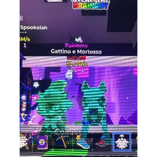 Gattino E Mortosso Rainbow