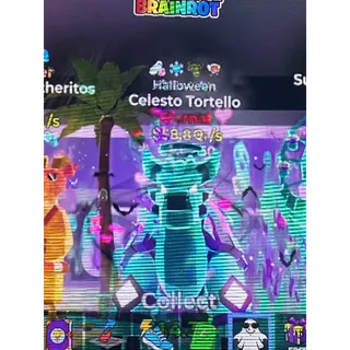 Celesto Tortello 58Qi/s