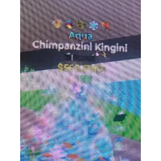 Chimpanzini Kingini 562.5m/s