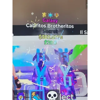 Cabritos Brotheritos 382.5m/s