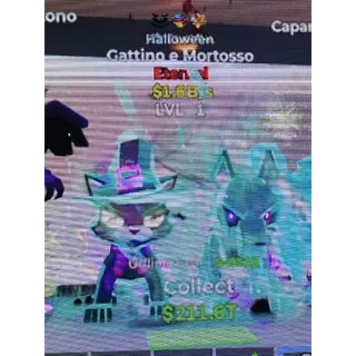 Gattino e Mortosso Spooky