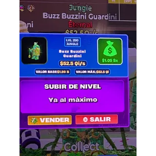 Buzz Buzzini Guardini 52.5Qi/s