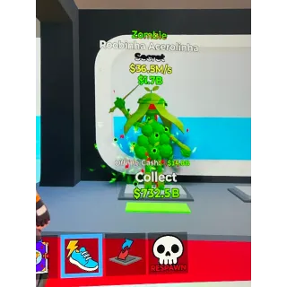 Roobinha Acerolinha 36.5m/s