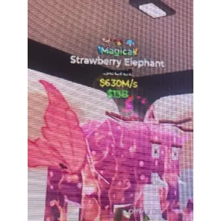 Strawberry Elephant 630m/s