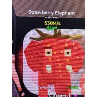 Strawberry Elephant 30m/s