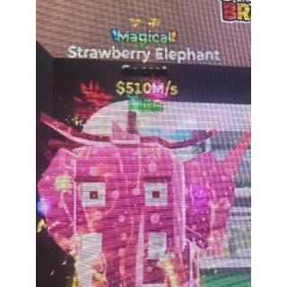 Strawberry Elephant 510m/s