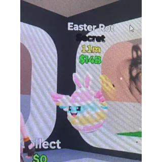 Easter Rot 10x