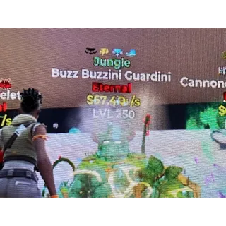 Buzz Buzzini Guardini 57Qi/s Max Lv