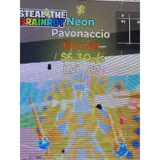 Pavonaccion Neon
