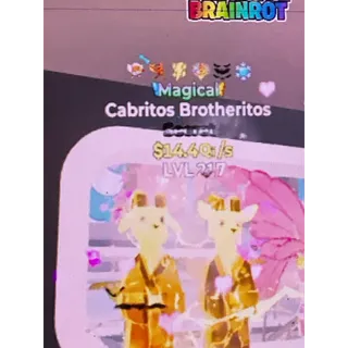 Cabritos Brotheritos 14.4Qi/s