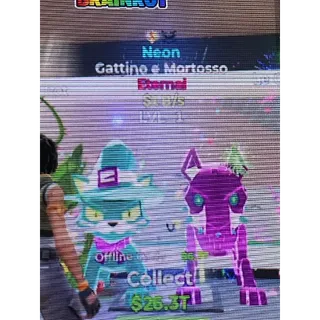 Gattino e Mortosso 1B/s