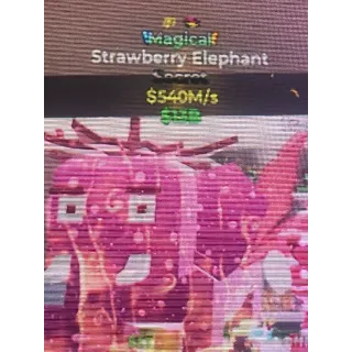 Strawberry Elephant 540m/s