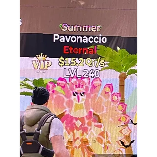 Pavonaccio 15.2Qi/s