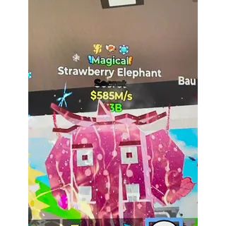 Strawberry Elephant 585m/s