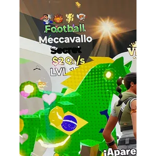 Meccavallo 2Qi/s
