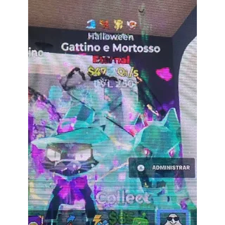 Gattino e Mortosso 47Qi/s Max Lv