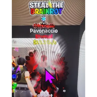 Pavonaccio Darkness