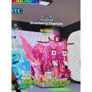 Strawberry Elephant 630m/s