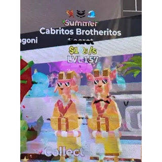 Cabritos Brotheritos 1Qi/s